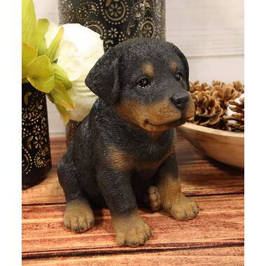 Buy rottweiler online puppy